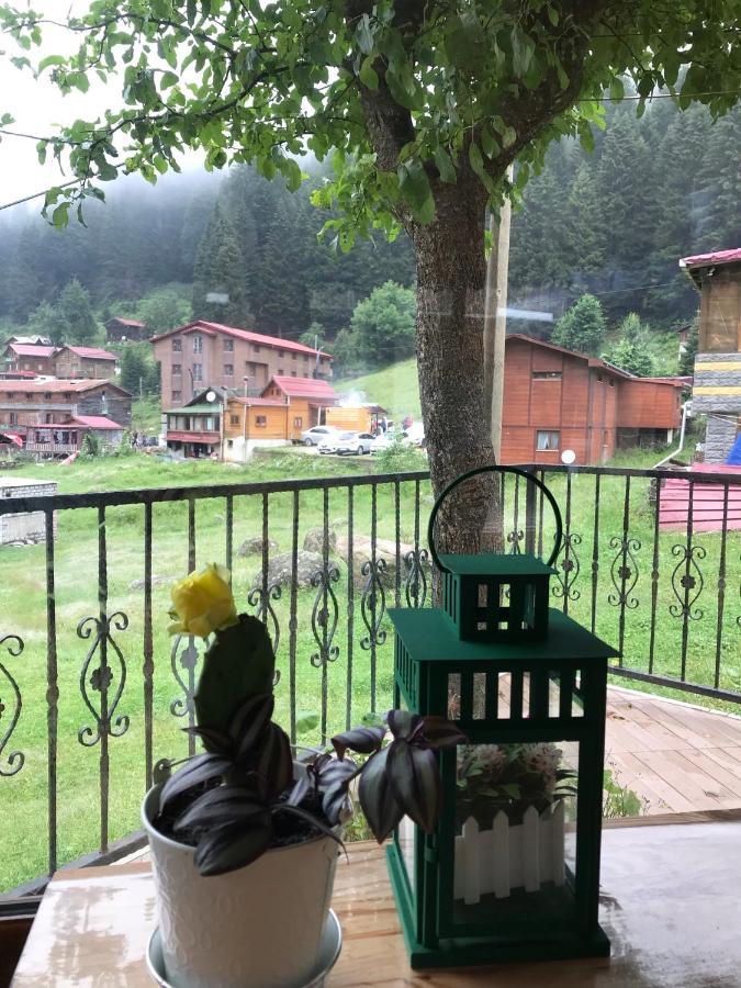 Guesthouse Dolunay Ayder Yaylasi Exterior photo
