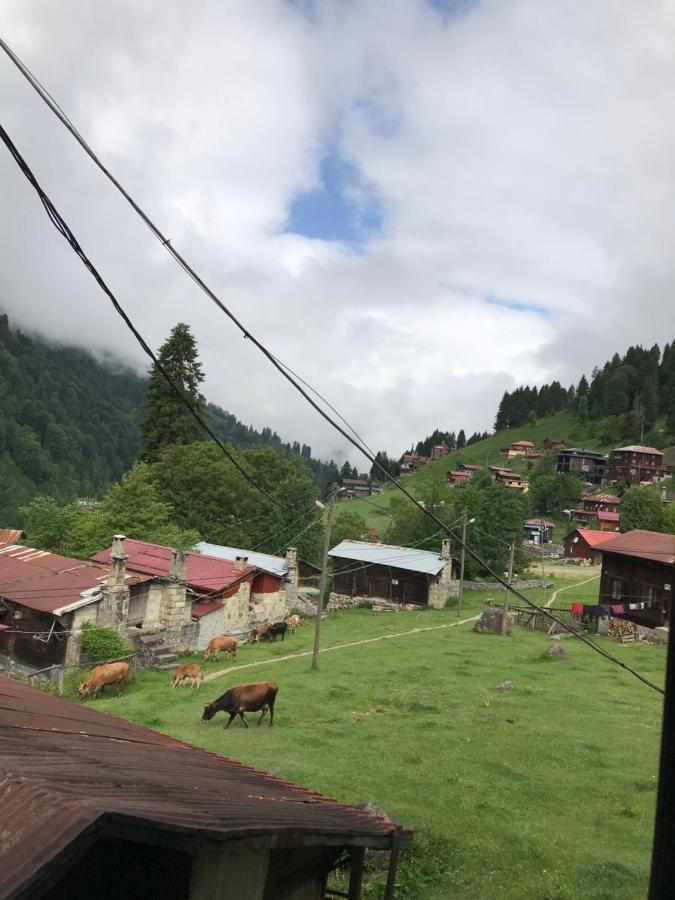 Guesthouse Dolunay Ayder Yaylasi Exterior photo