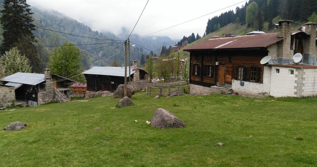 Guesthouse Dolunay Ayder Yaylasi Exterior photo